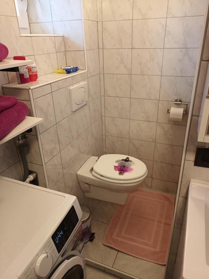 Apartment Alpina Kirchdorf an der Krems Extérieur photo